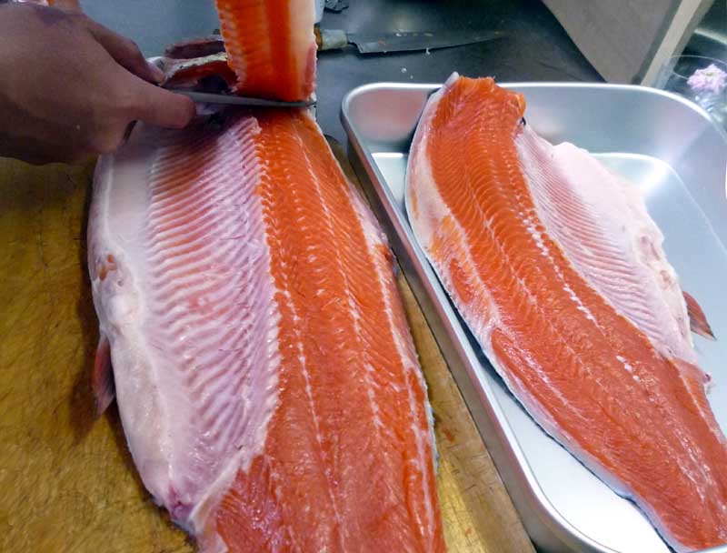 芦ノ湖の釣り 私 Vs 大ニジマス 判定 薄皮一枚で釣人の勝ち フィッシュナビ ブログ