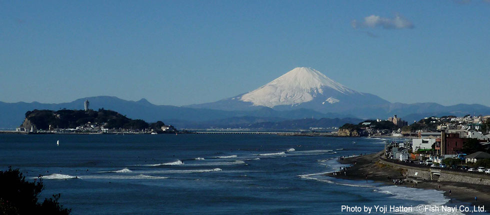 稲村ケ崎 （冬の晴天時）