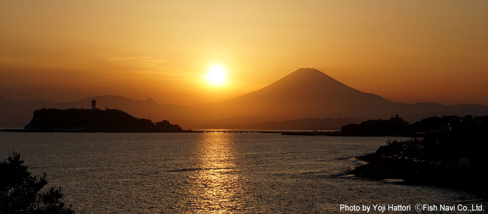 夕日の稲村ケ崎