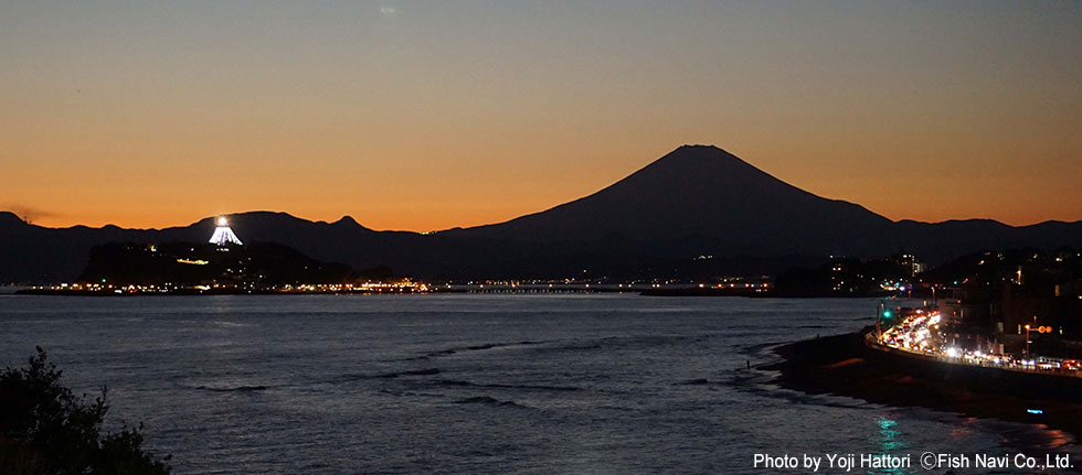 稲村ケ崎 （夕富士）