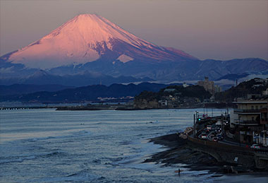 紅富士（稲村ケ崎1月）