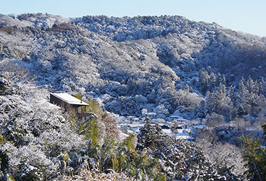 雪化粧（台峰から望む六国見山）1月