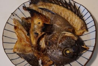 とても脂がノっている魚で、イシダイ独特の旨みがクセになりそうです。身を食べるもヨシ、そのまま汁物に展開するのもヨシです。