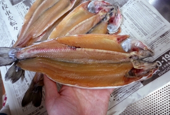 干物は保存が効き、釣魚料理の中でもとても有効な手段です。マスの干物が作れれば、焼きだけでなく燻製などにも展開することができます。