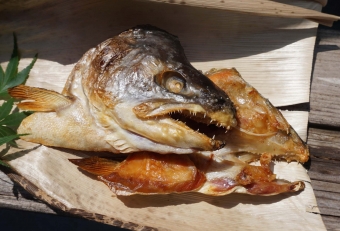 王道の塩焼き、その中で私がおススメしたいのはマスのカブト焼きです（頭だけでなくカマも含めたら尚ヨシです）。これは究極の絶品であり、釣った人の特権ともいえるでしょう。頭やカマは油分を多く含み、ほぼ軟骨や薄い骨でで出来ているので、これを時間をかけて塩焼きにすると（＝素揚げ状態になり）、骨もパリパリになります。そうすることで９割以上食べれてしまうでしょう。