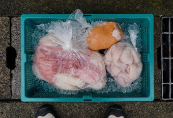 マンボウの可食部は「身」「肝」「腸」で、各部位の独特な食感を楽しむことができます。