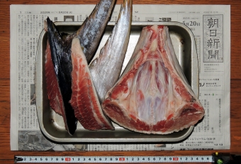 「ヒレ肉」と「あご肉」、それぞれ異なる食感を楽しむことができます（これでたった１００円）。