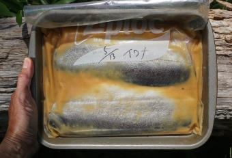 ジッパーに味噌を仕込んで持参するとよい。釣ったイワナを現場で三枚に下ろし、そこに入れるだけ。簡単でありながら本格的な味噌漬けに仕上がります。