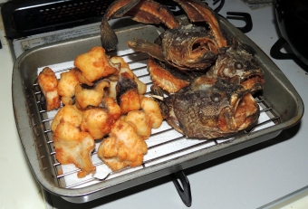 骨が非常に硬く揚げても食べることができませんでした。特に頭は鎧のように固く歯が全く立ちませんが、唯一頬肉とカマ肉だけは食べることができます（美味）。