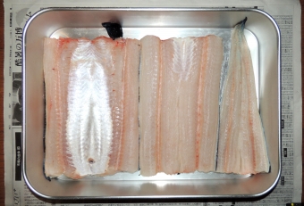 捌くと透明感のある美しい白身で、腹膜が銀白色なのが特徴（※ダイナンアナゴの腹膜は黒色）。