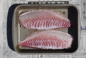 脂はそれほどのっていないが、身にシッカリとした甘みと旨みがあり、まさに究極の美味に尽きる。数あるイサキの仲間でも群を抜いて美味い。