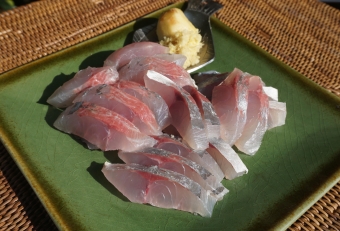 メッキは小さいので脂はのっておりませんが、コリコリ食感で美味しいです。