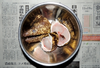 アラや切れ端などを汁物にします。頭は非常に美味、肉が詰まりゼラチン皮のプニプニ感がたまりません。唐揚げ、蒸し、焼き、煮付け、どんな料理にしても美味しく頂けます。