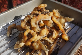 干したウツボを細かくカット（１センチ未満）して素揚げにします。そうすることで小骨も食べることができます。