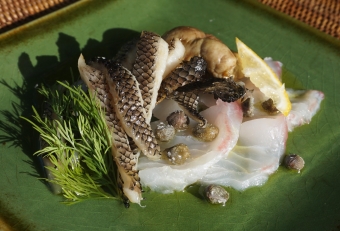 刺身が美味しいので、当然ながらカルパッチョにしても美味しいです。しかし通常カルパッチョで使うタイやヒラメのような透明感やコリコリ食感がないので、そこは何とか名脇役（皮と肝）の力を借りて、イバラヒゲの良さを引き出してみました。