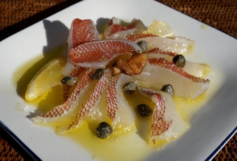 皮目の美しさ、身の美しさ、そしてエビのようなプリプリ食感、まさにカルパッチョにもってこいの食材と思う。近い将来、ヒメコダイは洋食の食材としても評価されるようになるだろう。