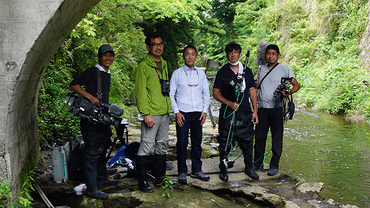 NHK　ダーウィンが来た！